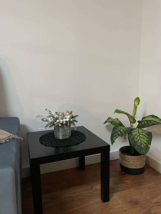 Apartament La Casa ทิมิชัวรา ภายนอก รูปภาพ